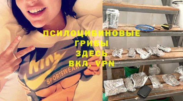 прущая мука Новодвинск