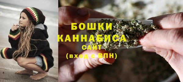 ECSTASY Новозыбков