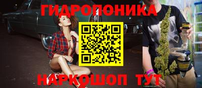 индика Абинск