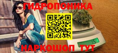 молекула духа Донецк