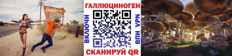 kraken вход  цены   Пыть-Ях  Псилоцибиновые грибы мицелий 